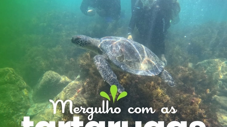 Imagem de vitrine